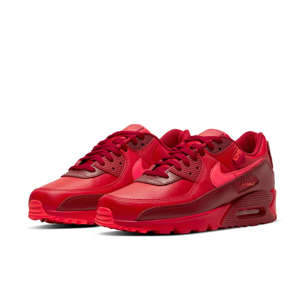 Nike Air Max 90 'City Special - Chicago' DH0146-600