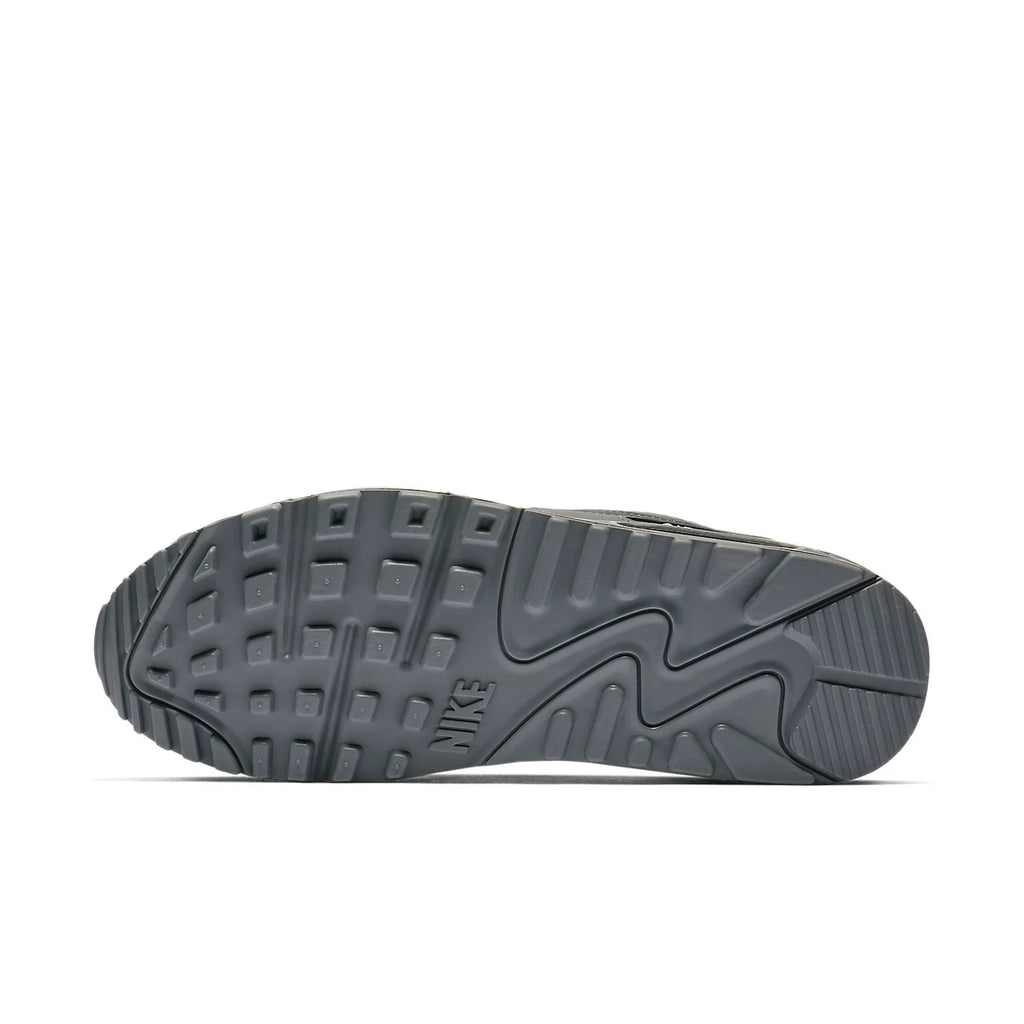 Nike Air Max 90 Essential 'Cool Grey' AJ1285-017