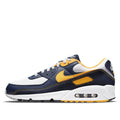 Nike Air Max 90 'Dunk From Above' DC9845-101