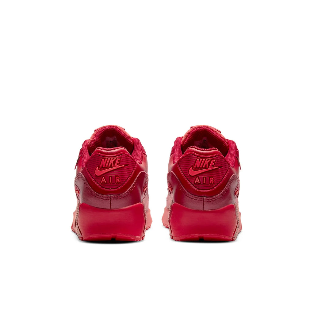 (GS) Nike Air Max 90 'City Special - Chicago' DH0149-600