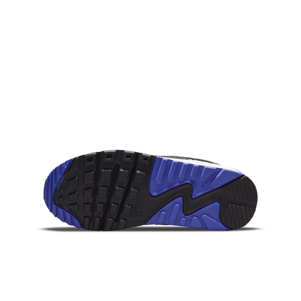 (GS) Nike Air Max 90 Leather 'Persian Violet' CD6864-014