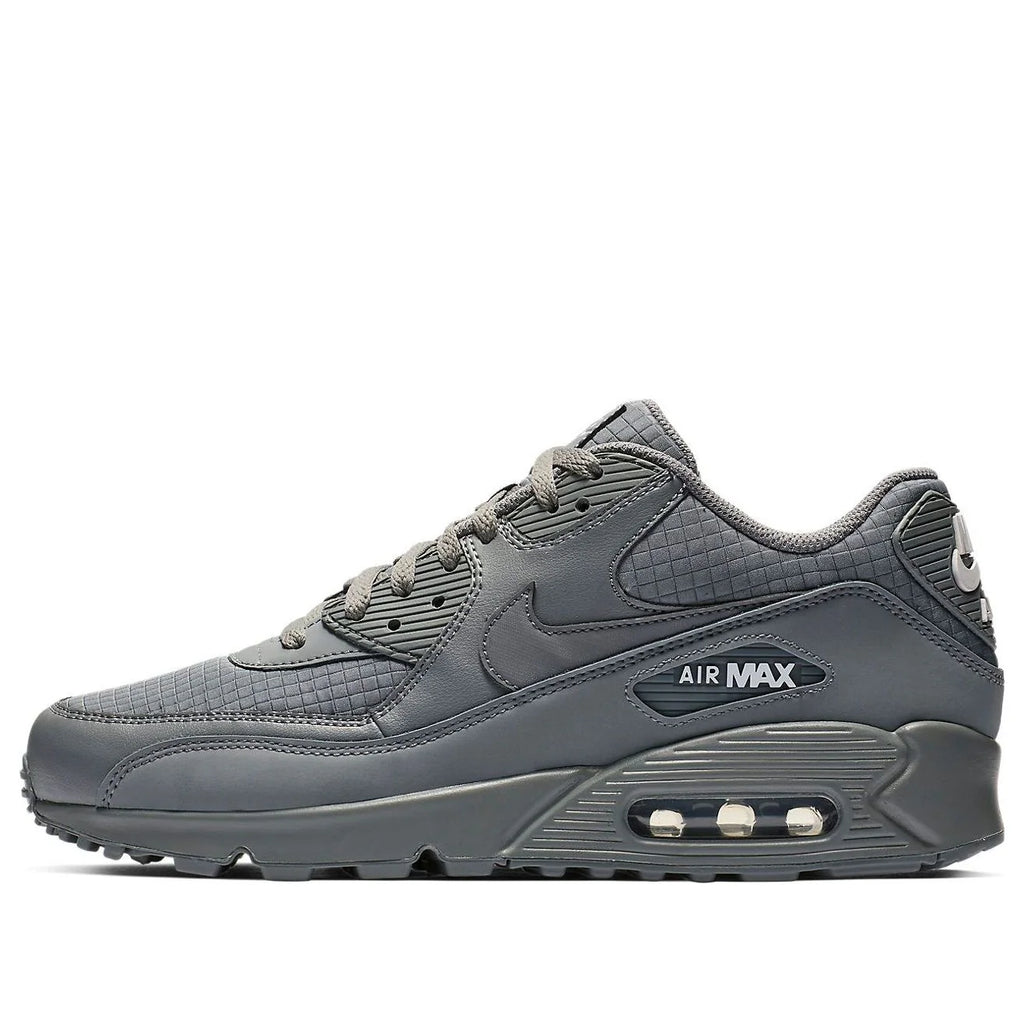 Nike Air Max 90 Essential 'Cool Grey' AJ1285-017