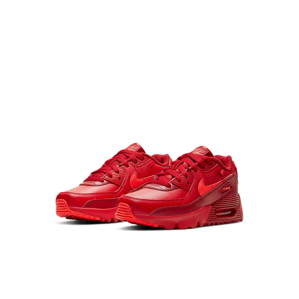 (PS) Nike Air Max 90 'City Special - Chicago' DH0150-600