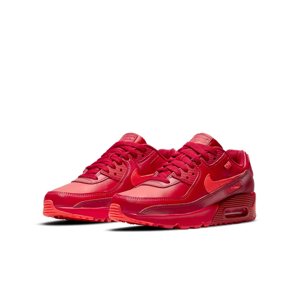 (GS) Nike Air Max 90 'City Special - Chicago' DH0149-600